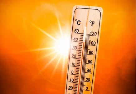 Managing Heat Stress in Poultry Production