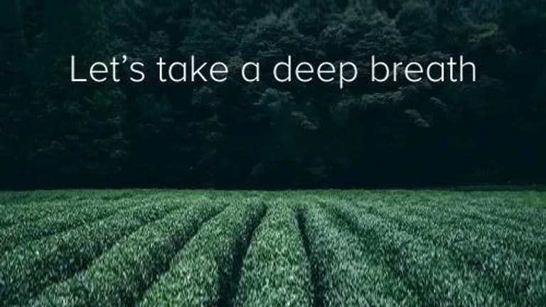 Respiratory Related Problems in Poultry Production